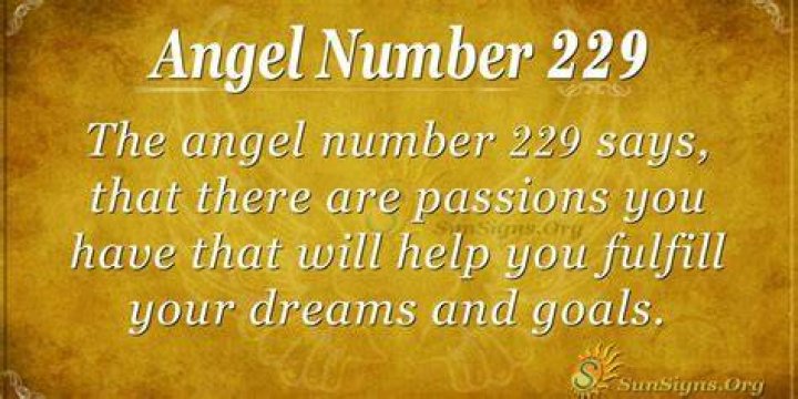 Angel Number 229 Meaning: Lead By Example