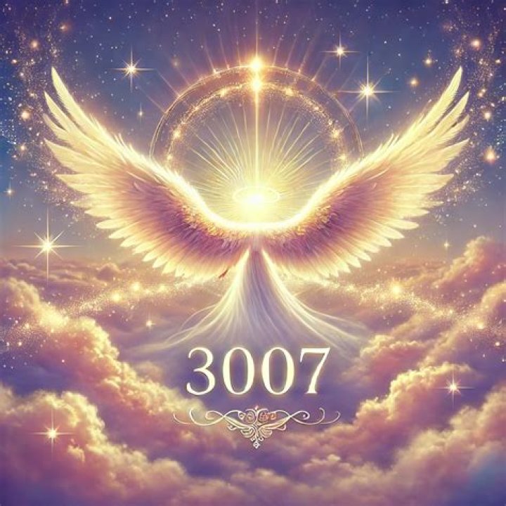 Angel number 3007