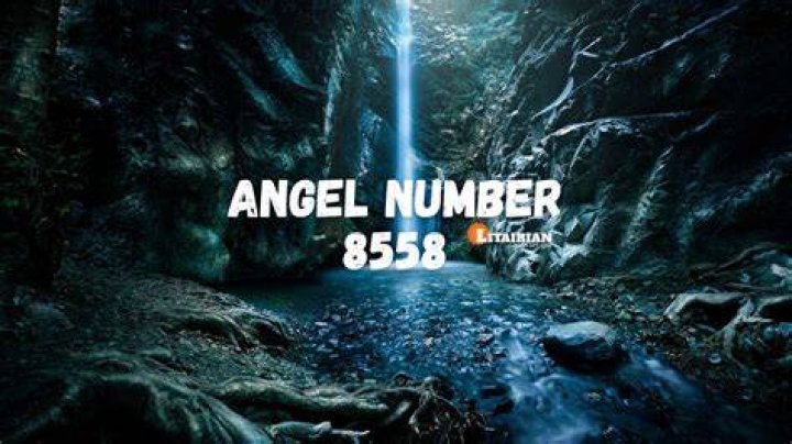 angel number 8558