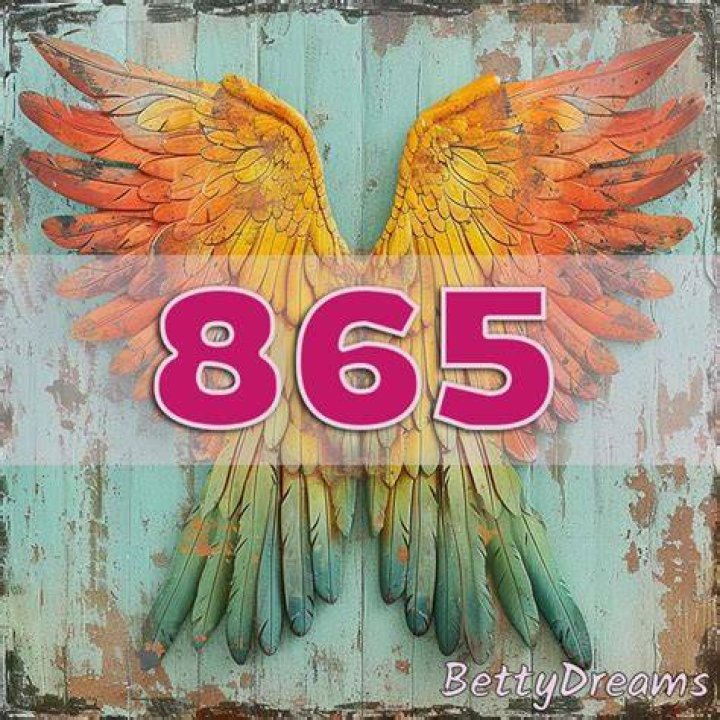 angel number 865