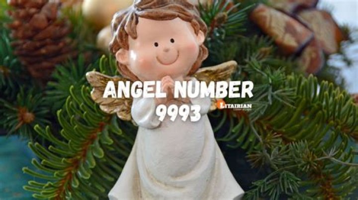 angel number 9993