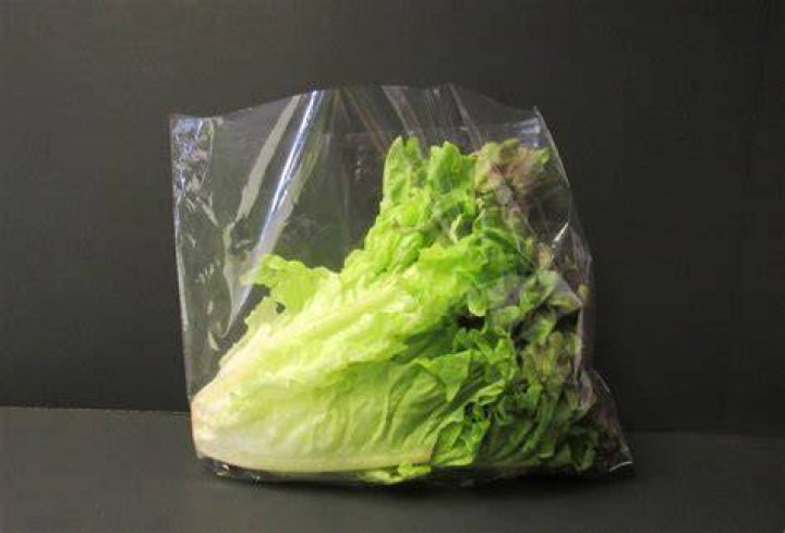 Bag Lettuce SV Sprite.png
