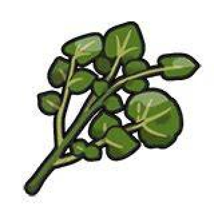 Bag Spicy Herba Mystica SV Sprite.png