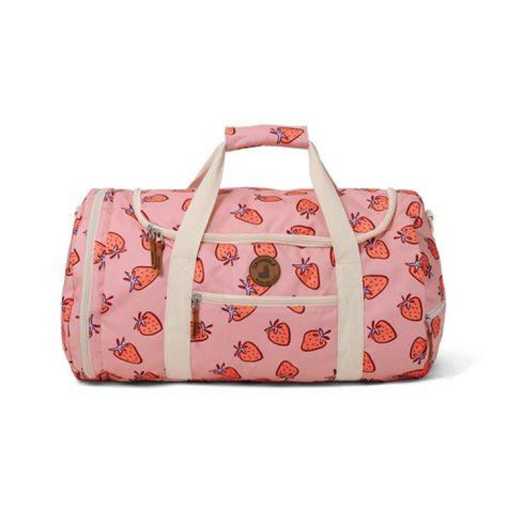 Bag Strawberry SV Sprite.png
