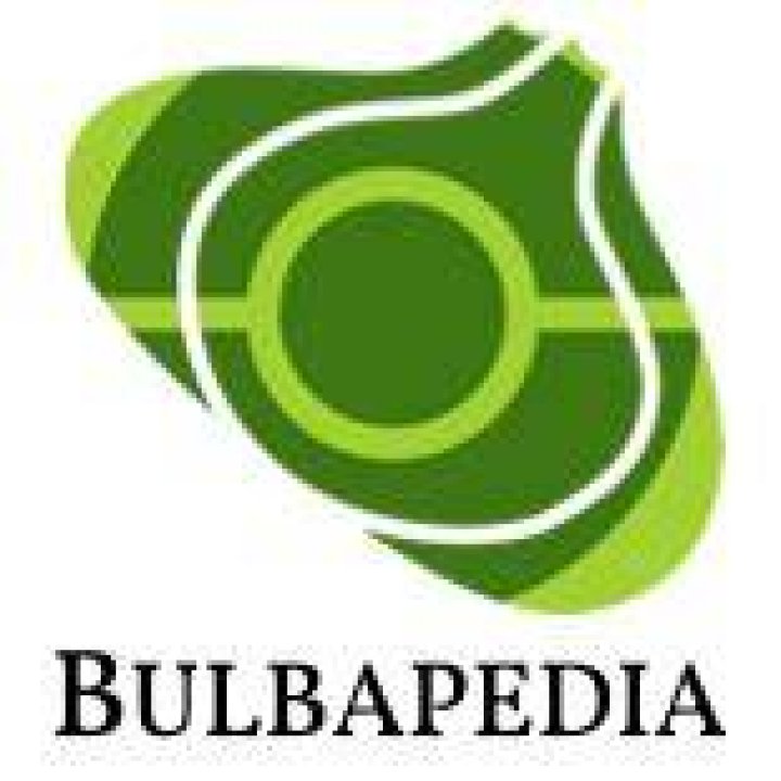 Bulbapedia bulb.png