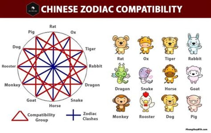 Chinese astrology compatibility predicts that the Pig and Snake compatibility is very poor when it comes to love, friendship or business.