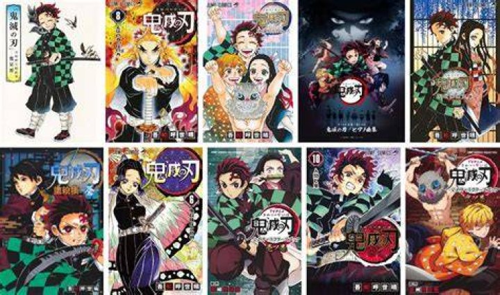 Demon Slayer Light novels Demon Slayer Light novels