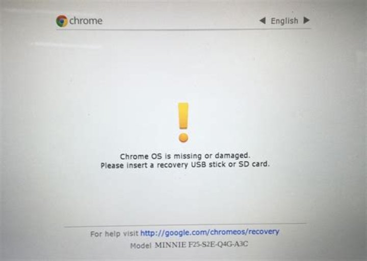 person using laptop disable verification chrome os recovery unexpected error
