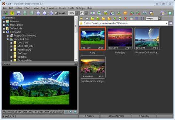 FastStone Image Viewer