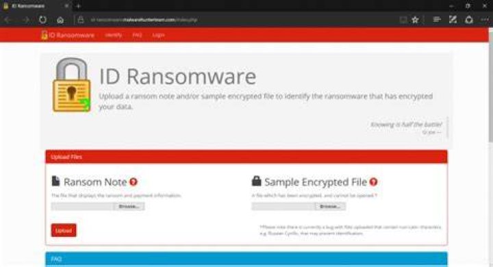 Identify the ransomware that encrypted your data with this free tool