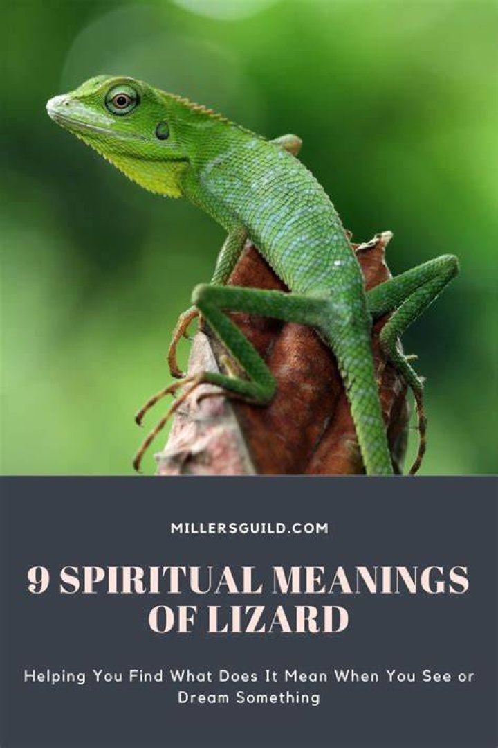 lizard spirit animal