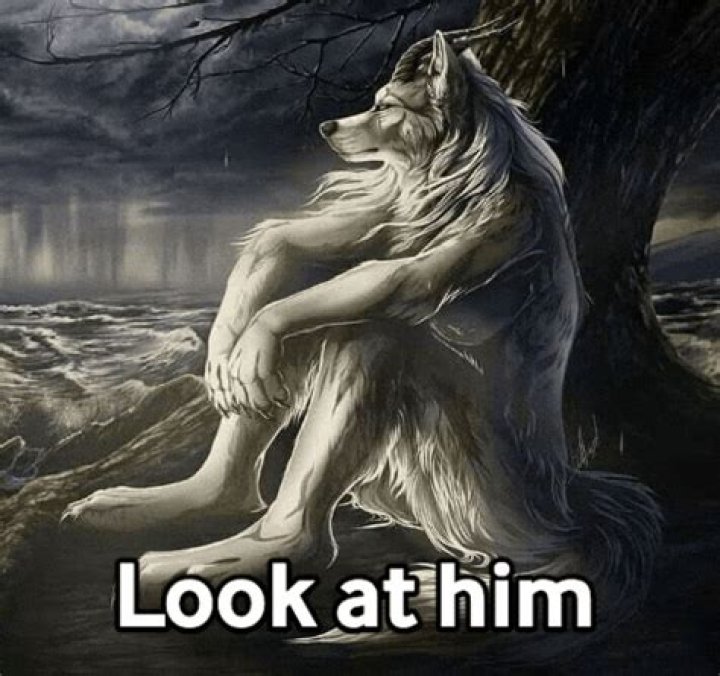 Lone wolf meme Lone wolf meme