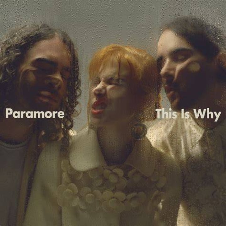 Meaning of This Circle by Paramore