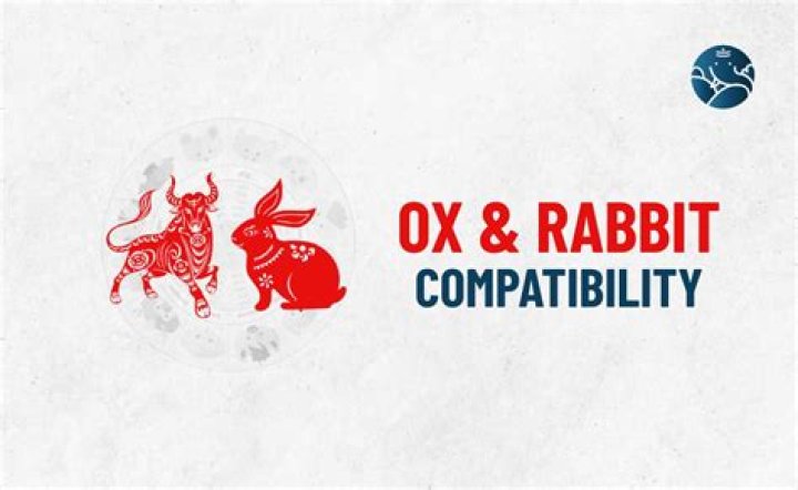 ox rabbit compatibility