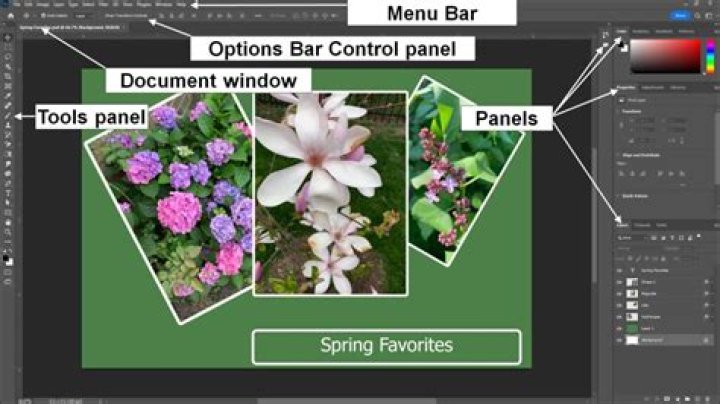 Photoshop issues search control panel