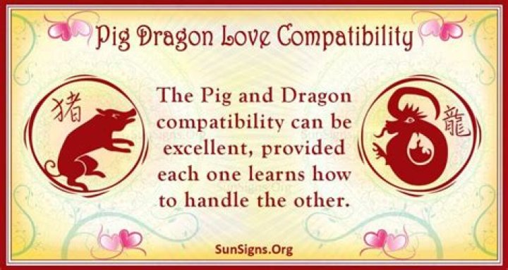 pig dragon compatibility
