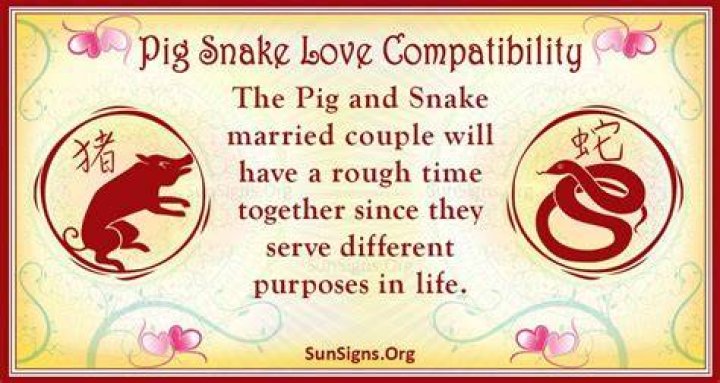 pig snake compatibility