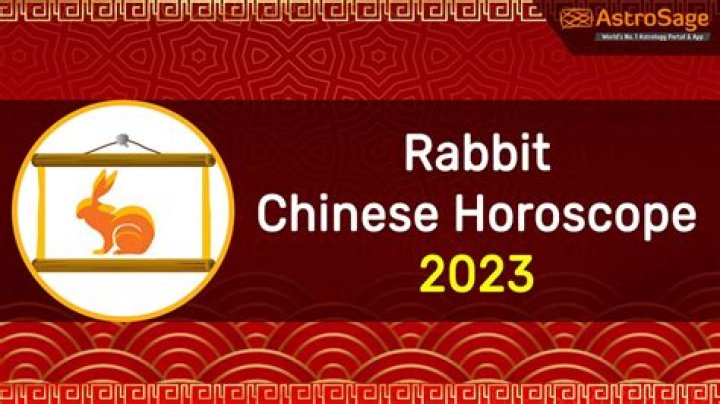 Rabbit Chinese Horoscope 2023
