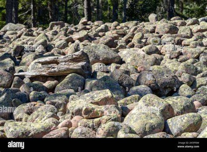 Rock Field