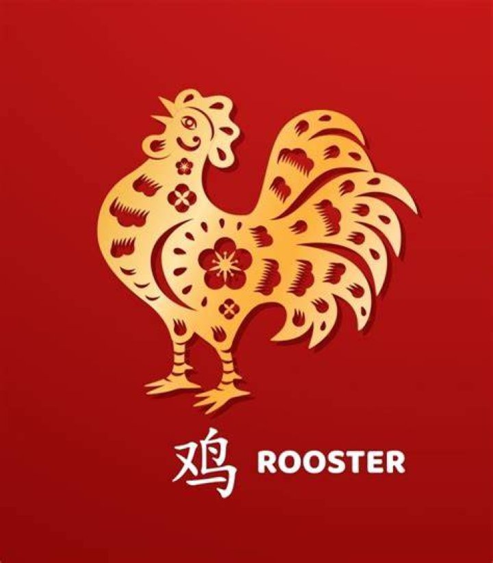 Rooster Chinese Horoscope 2023