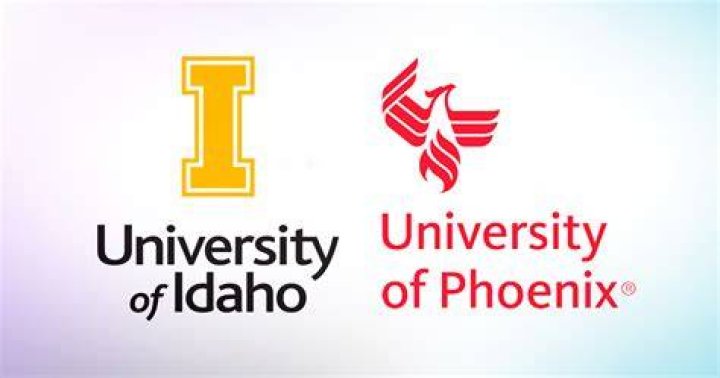 University of Phoenix Going Down in Flames?